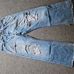 Destroyed levi 567's